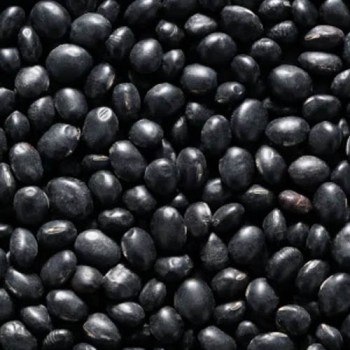 Black Beans