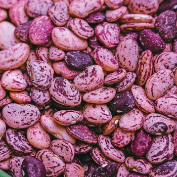 Speckled Lima Beans